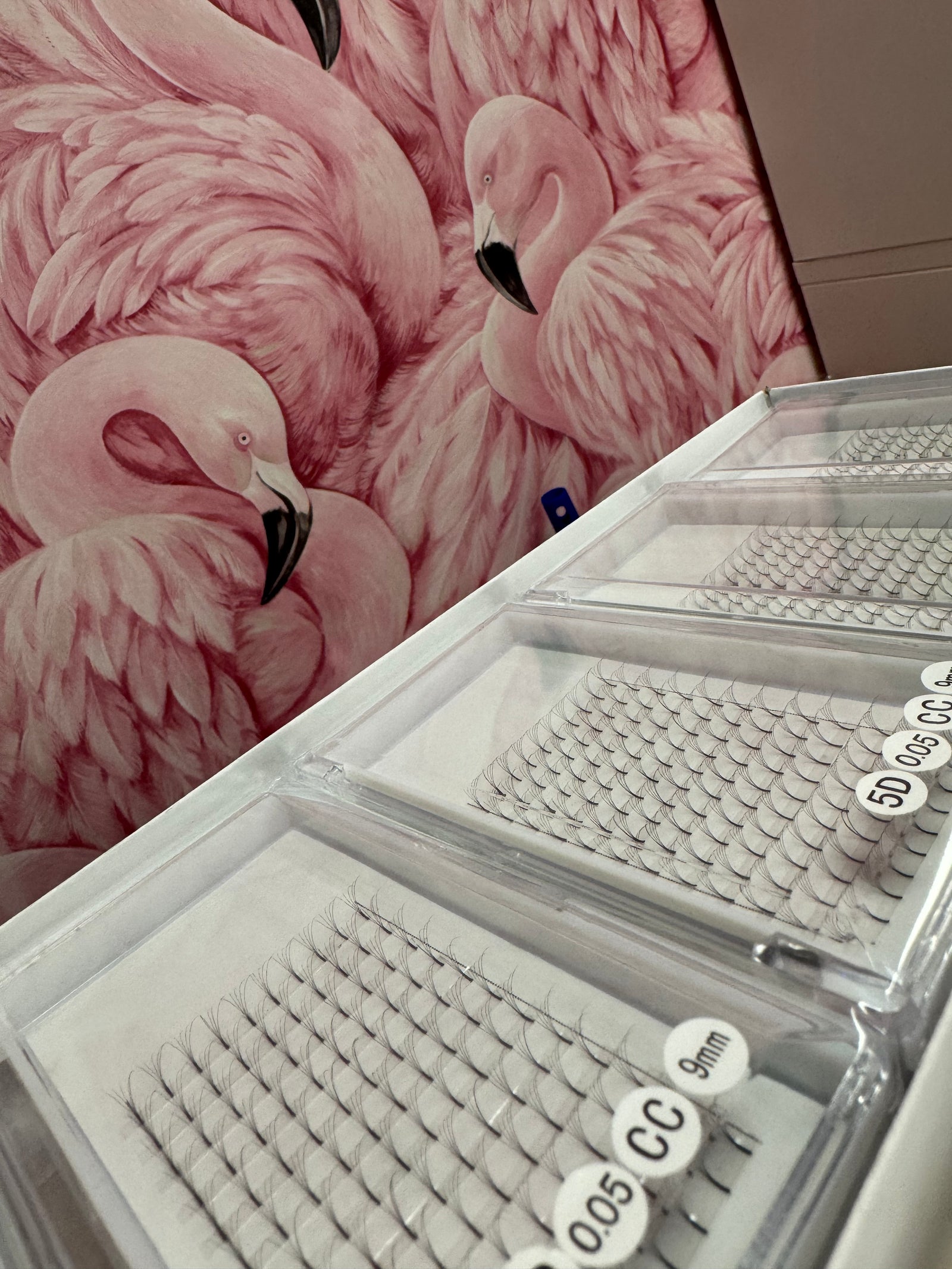 Lash Essentials